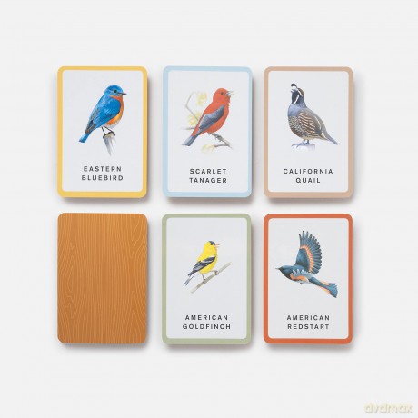 Sibley Backyard Birding Bingo: A Game for Bird Lovers: Board Games (Sibley Birds) - David Allen Sibley [KSIĄŻKA]