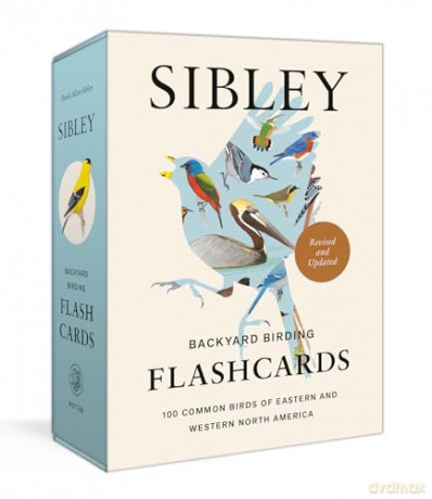 Sibley Backyard Birding Flashcards, Revised and Updated: 100 Common Birds of Eastern and Western North America - David Allen Sibley [KSIĄŻKA]