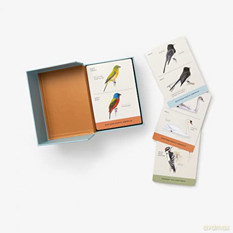 Sibley Backyard Birding Flashcards, Revised and Updated: 100 Common Birds of Eastern and Western North America - David Allen Sibley [KSIĄŻKA]