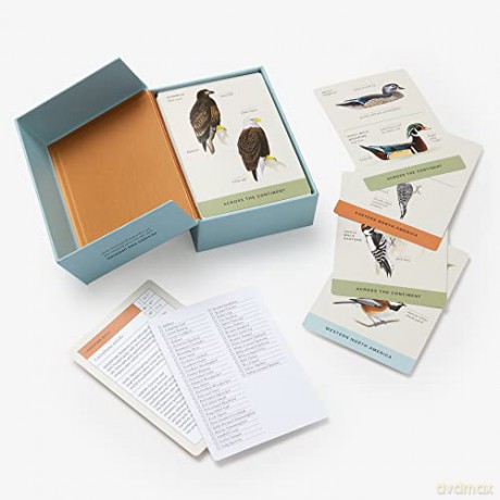 Sibley Backyard Birding Flashcards, Revised and Updated: 100 Common Birds of Eastern and Western North America - David Allen Sibley [KSIĄŻKA]