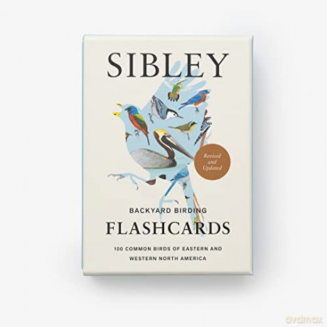 Sibley Backyard Birding Flashcards, Revised and Updated: 100 Common Birds of Eastern and Western North America - David Allen Sibley [KSIĄŻKA]
