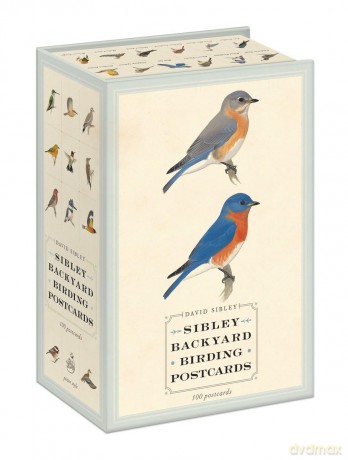 Sibley Backyard Birding Postcards: 100 Postcards (Sibley Birds) - David Sibley [KSIĄŻKA]
