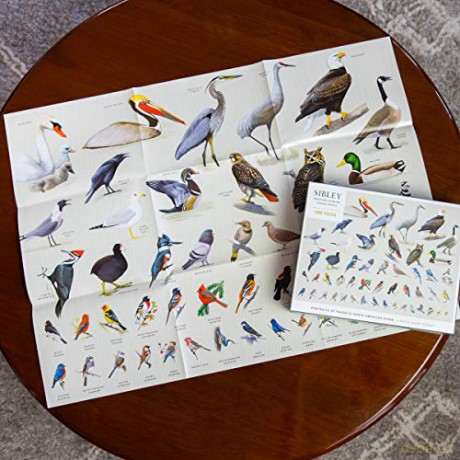Sibley Backyard Birding Puzzle: 1000-piece (Sibley Birds): 1000-Piece Jigsaw Puzzle with Portraits of Favorite North American Birds - David Allen Sibley [KSIĄŻKA]