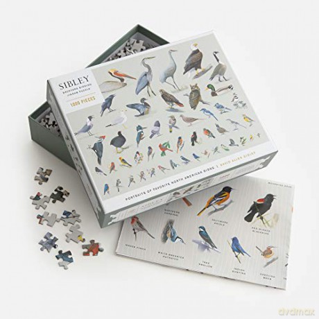 Sibley Backyard Birding Puzzle: 1000-piece (Sibley Birds): 1000-Piece Jigsaw Puzzle with Portraits of Favorite North American Birds - David Allen Sibley [KSIĄŻKA]