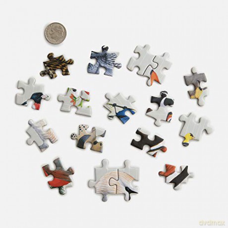Sibley Backyard Birding Puzzle: 1000-piece (Sibley Birds): 1000-Piece Jigsaw Puzzle with Portraits of Favorite North American Birds - David Allen Sibley [KSIĄŻKA]