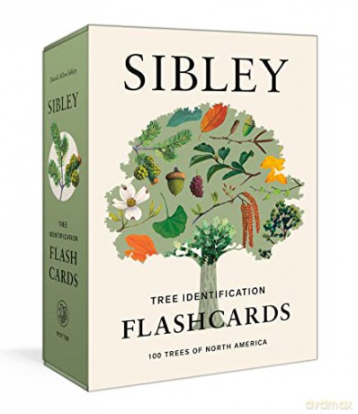 Sibley Tree Identification Flashcards: 100 Trees of North America - David Allen Sibley [KSIĄŻKA]