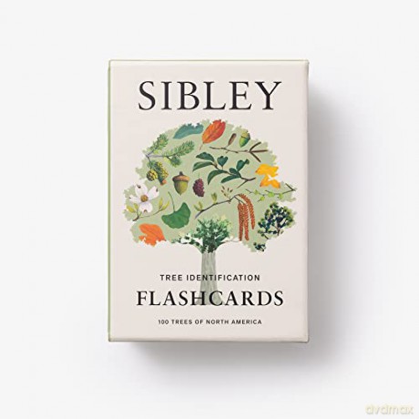 Sibley Tree Identification Flashcards: 100 Trees of North America - David Allen Sibley [KSIĄŻKA]