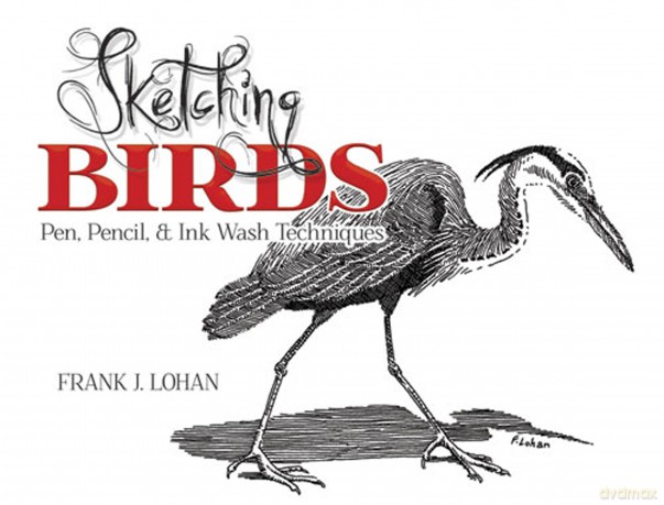 Sketching Birds: Pen, Pencil, and Ink Wash Techniques (Dover Art Instruction) - Lohan Lohan [KSIĄŻKA]