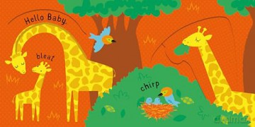 Slide and See Animals (Slide and See Books) - Fiona Watt [KSIĄŻKA]