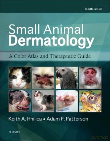 Small Animal Dermatology: A Color Atlas and Therapeutic Guide - Hannah Wilson [KSIĄŻKA]