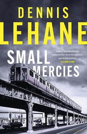 Small Mercies: Longlisted for the CWA Gold Dagger 2024 - Robert Murphy [KSIĄŻKA]