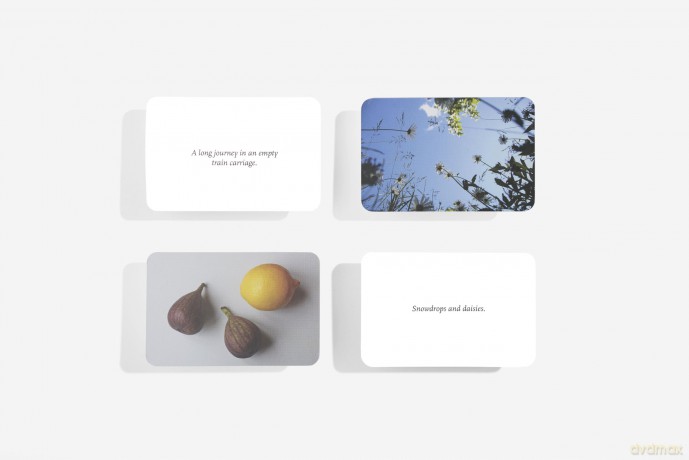 Small Pleasures: find beauty in overlooked things - The School of Life [KSIĄŻKA]