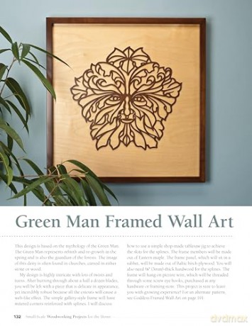 Small-Scale Woodworking Projects for the Home: 64 Easy-to-Make Wood Frames, Lamps, Accessories, and Wall Art - Roshaan Ganief [KSIĄŻKA]