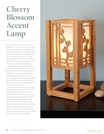 Small-Scale Woodworking Projects for the Home: 64 Easy-to-Make Wood Frames, Lamps, Accessories, and Wall Art - Roshaan Ganief [KSIĄŻKA]
