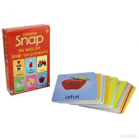 Snap Cards in Welsh - Felicity Brooks [KSIĄŻKA]