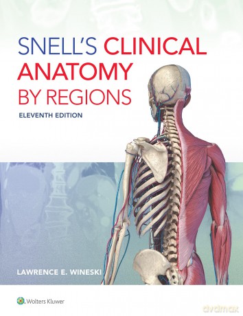 Snell's Clinical Anatomy by Regions - Dr. Lawrence E. Wineski [KSIĄŻKA]