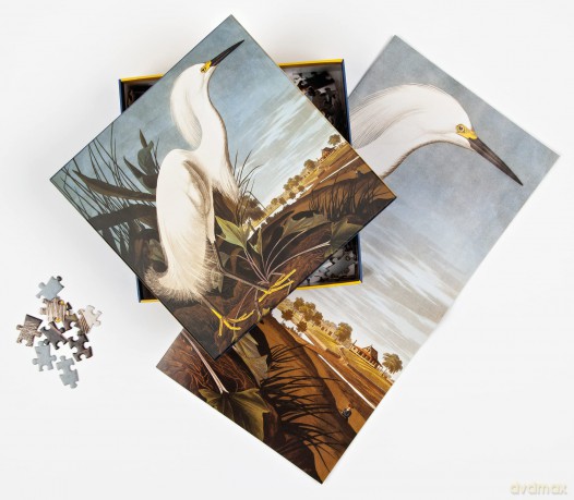 Snowy Egret, James Audubon 1000-Piece Puzzle: 1000-pieces (1000 Piece Puzzles) - James Audubon [KSIĄŻKA]
