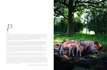 Soil to Table: The Land Gardeners: Recipes for Healthy Soil and Food - Henrietta Courtauld [KSIĄŻKA]