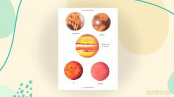 Solar System Stickers (Little Activity Books) - Tim Palmer [KSIĄŻKA]
