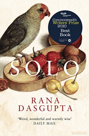 Solo - Rana Dasgupta [KSIĄŻKA]