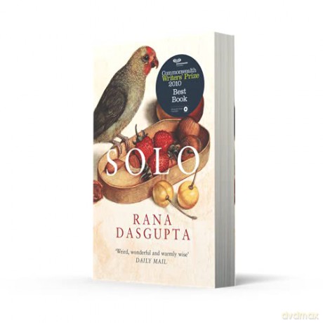 Solo - Rana Dasgupta [KSIĄŻKA]