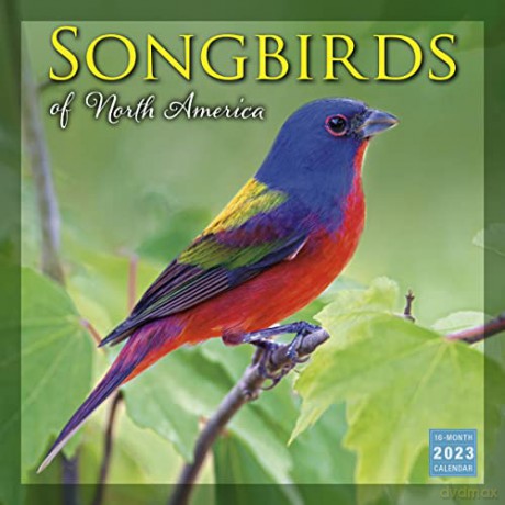 Songbirds of North America 2023 Calendar (WALL 16 MONTH) [KALENDARZ]