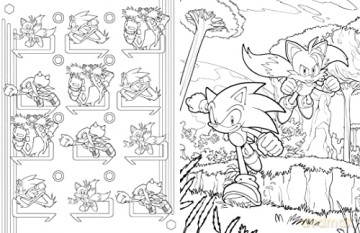 Sonic the Hedgehog: The Official Adult Coloring Book (Insight) - Insight Editions [KSIĄŻKA]