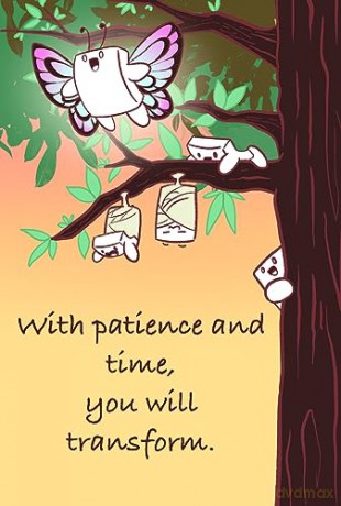Soondubu for the Soul: 52 Fun-filled Tofu Cards to Help You Face the Day - Jon Yong [KSIĄŻKA]