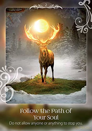 Soul Helper Oracle: Messages from Your Higher Self - Christine Arana Fader [KSIĄŻKA]