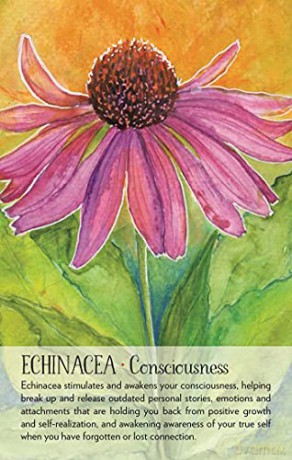 Soulflower Plant Spirit Oracle: 44-Card Deck and Guidebook - Lisa Estabrook [KSIĄŻKA]