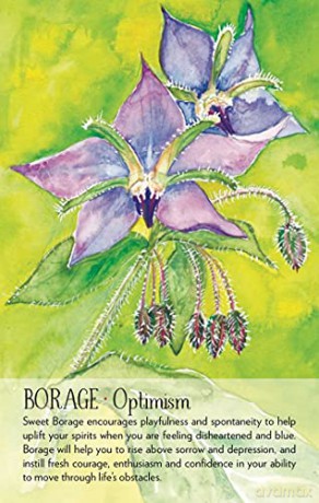 Soulflower Plant Spirit Oracle: 44-Card Deck and Guidebook - Lisa Estabrook [KSIĄŻKA]