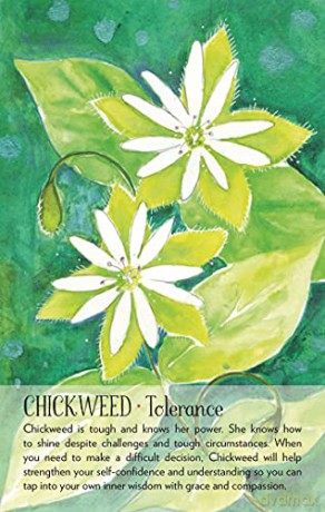 Soulflower Plant Spirit Oracle: 44-Card Deck and Guidebook - Lisa Estabrook [KSIĄŻKA]