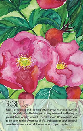 Soulflower Plant Spirit Oracle: 44-Card Deck and Guidebook - Lisa Estabrook [KSIĄŻKA]
