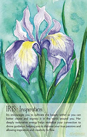 Soulflower Plant Spirit Oracle: 44-Card Deck and Guidebook - Lisa Estabrook [KSIĄŻKA]