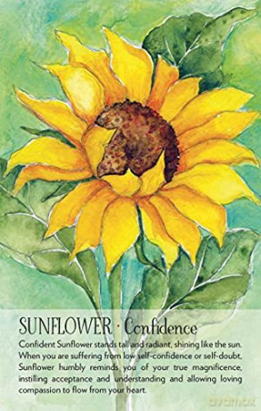 Soulflower Plant Spirit Oracle: 44-Card Deck and Guidebook - Lisa Estabrook [KSIĄŻKA]