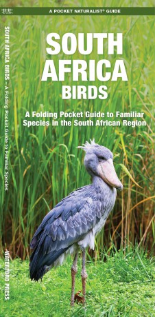 South Africa Birds: A Folding Pocket Guide to Familiar Species (A Pocket Naturalist Guide) - James Kavanagh [KSIĄŻKA]
