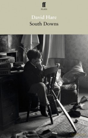South Downs and Mere Fact, Mere Fiction - David Hare [KSIĄŻKA]