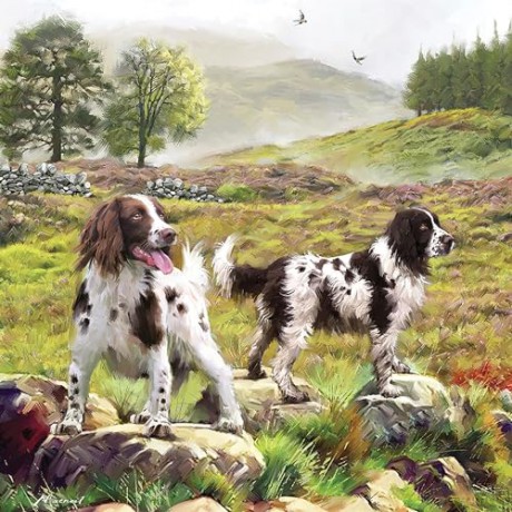 Spaniels on the Moor 1000 Piece Jigsaw [PUZZLE]