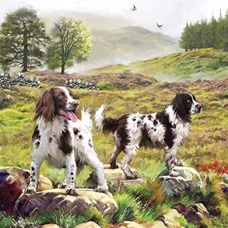Spaniels on the Moor 1000 Piece Jigsaw [PUZZLE]