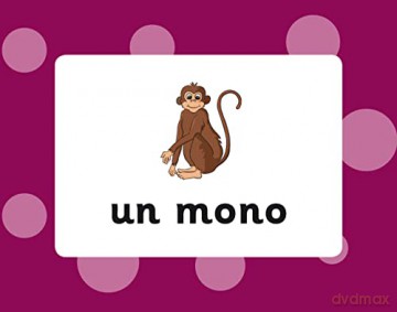 Spanish Vocabulary Flashcards for Ages 9-11 (with Free Online Audio) (CGP KS2 Activity Books and Cards) - CGP Books [KSIĄŻKA]