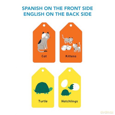 Spanish-English ABC Ring Flash Cards - Mudpuppy [KSIĄŻKA]