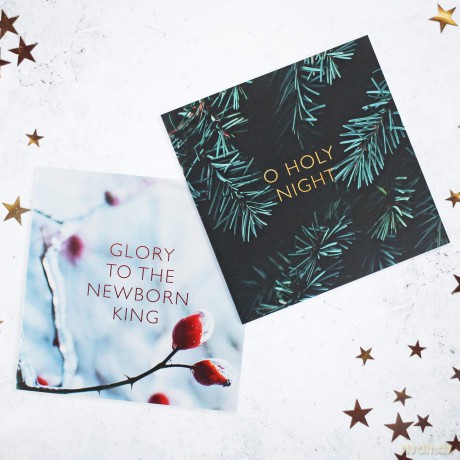 SPCK Charity Christmas Cards, Pack of 10, 2 Designs: Festive Scene (SPCK Christmas Cards) [KSIĄŻKA]
