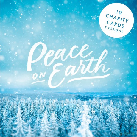 SPCK Charity Christmas Cards, Pack of 10, 2 Designs: Festive Text (SPCK Christmas Cards) [KSIĄŻKA]
