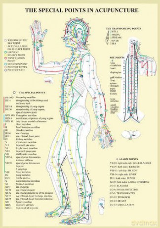 Special Points in Acupunture - A4 - Jan van Baarle [KSIĄŻKA]