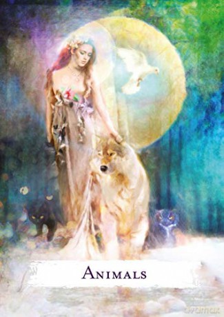 Spellcasting Oracle Cards: A 48-Card Deck and Guidebook - Flavia Kate Peters [KSIĄŻKA]