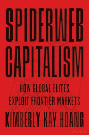Spiderweb Capitalism: How Global Elites Exploit Frontier Markets - Kimberly Kay Hoang [KSIĄŻKA]