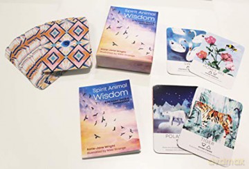 Spirit Animal Wisdom Cards - Katie-Jane Wright [KSIĄŻKA]