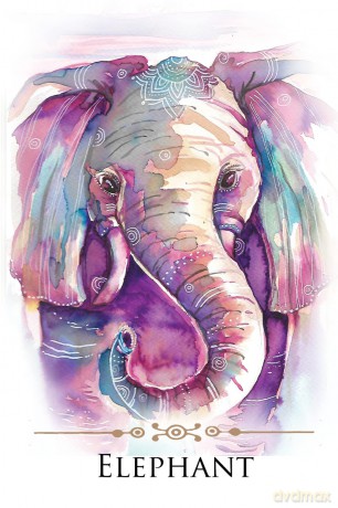 Spirit Animals Message Cards: 70 Affirmation-Style Cards with Instructions for Use - Dr. Steven Farmer [KSIĄŻKA]