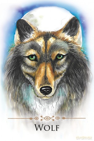 Spirit Animals Message Cards: 70 Affirmation-Style Cards with Instructions for Use - Dr. Steven Farmer [KSIĄŻKA]