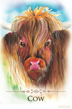 Spirit Animals Message Cards: 70 Affirmation-Style Cards with Instructions for Use - Dr. Steven Farmer [KSIĄŻKA]